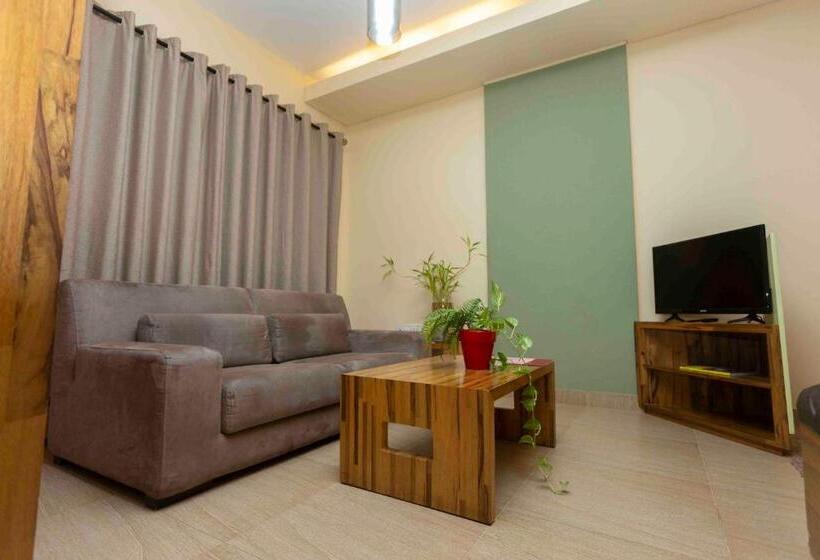 اتاق سوپریور, Roots Apartment