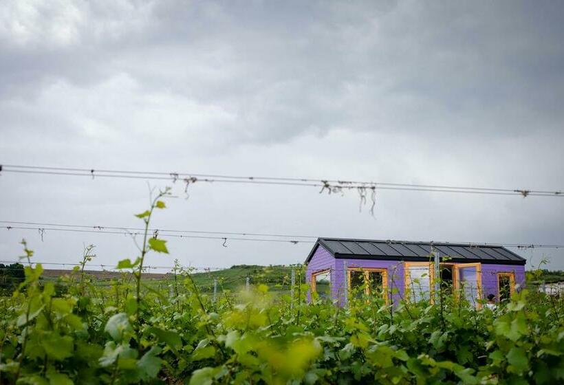 اتاق استاندارد با تراس, Tiny House In The Vineyard By Gramofon Wine