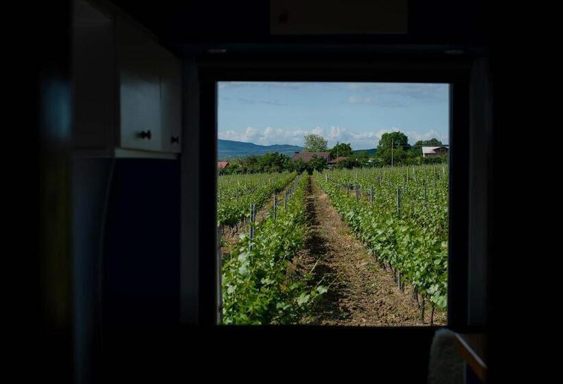اتاق لوکس, Tiny House In The Vineyard By Gramofon Wine