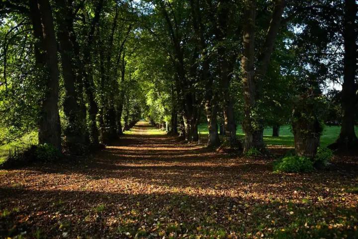 ویلای 3 خوابه, Chateau De Bouillancourt En Sery