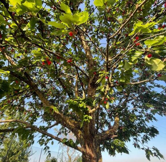 خانه 2 خوابه, Malamù Bnb Eventi