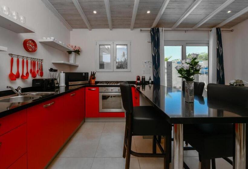آپارتمان لوکس 1 خوابه, Boutique Hotel Swiss Paradise Aruba Villas And Suites