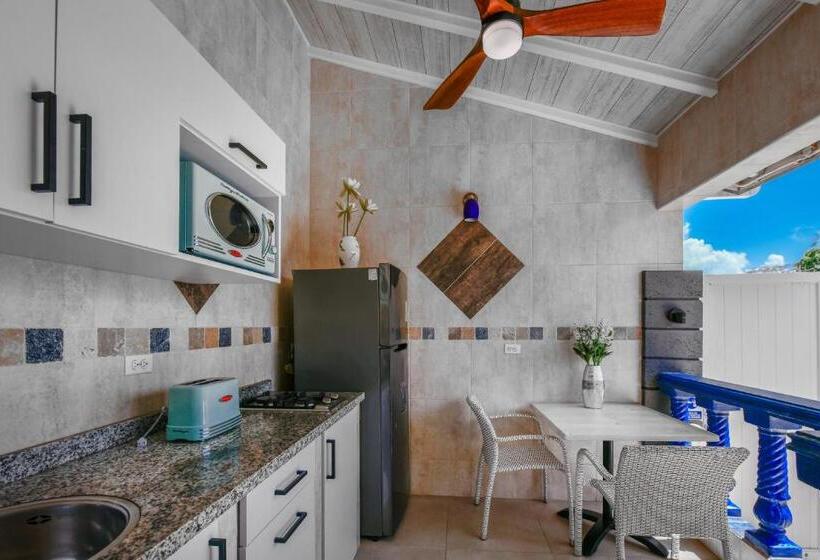سوییت لوکس, Boutique Hotel Swiss Paradise Aruba Villas And Suites