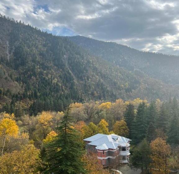 Quarto Deluxe, Borjomi Likani Health & Spa Centre