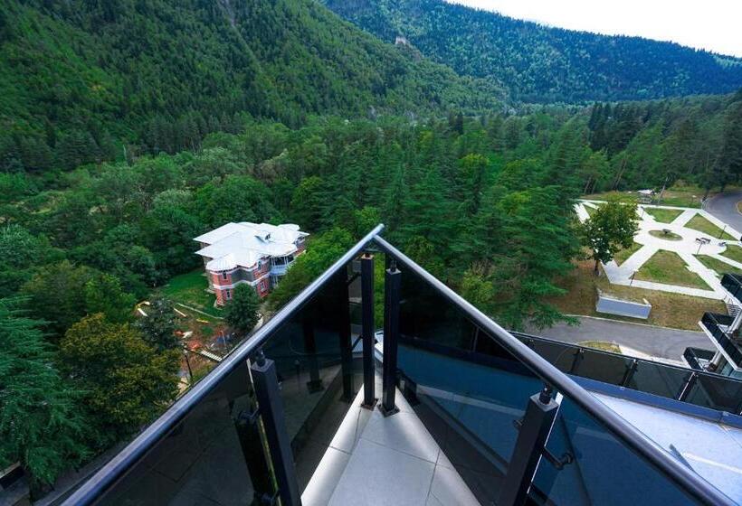 سوییت اجرایی, Borjomi Likani Health & Spa Centre