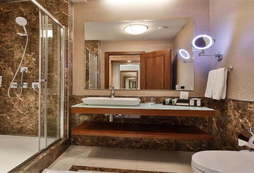 اتاق اکونومی, Borjomi Likani Health & Spa Centre