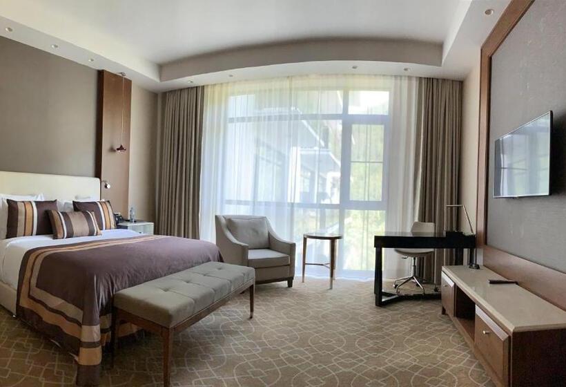اتاق اکونومی, Borjomi Likani Health & Spa Centre