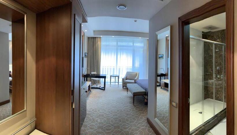 اتاق استاندارد برای معلولان, Borjomi Likani Health & Spa Centre