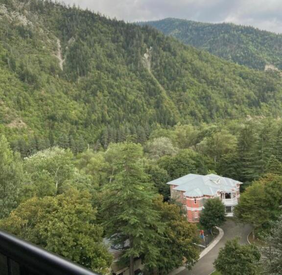 Suíte Júnior, Borjomi Likani Health & Spa Centre