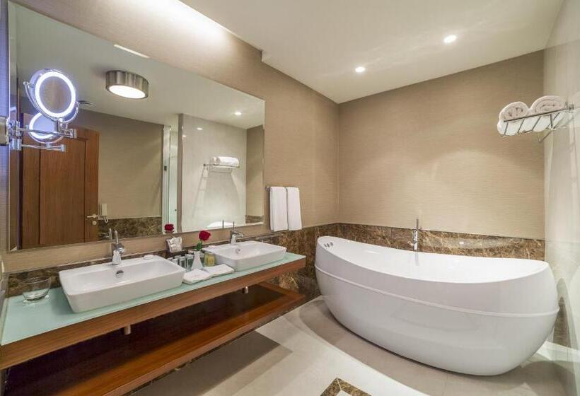 سوییت اجرایی, Borjomi Likani Health & Spa Centre