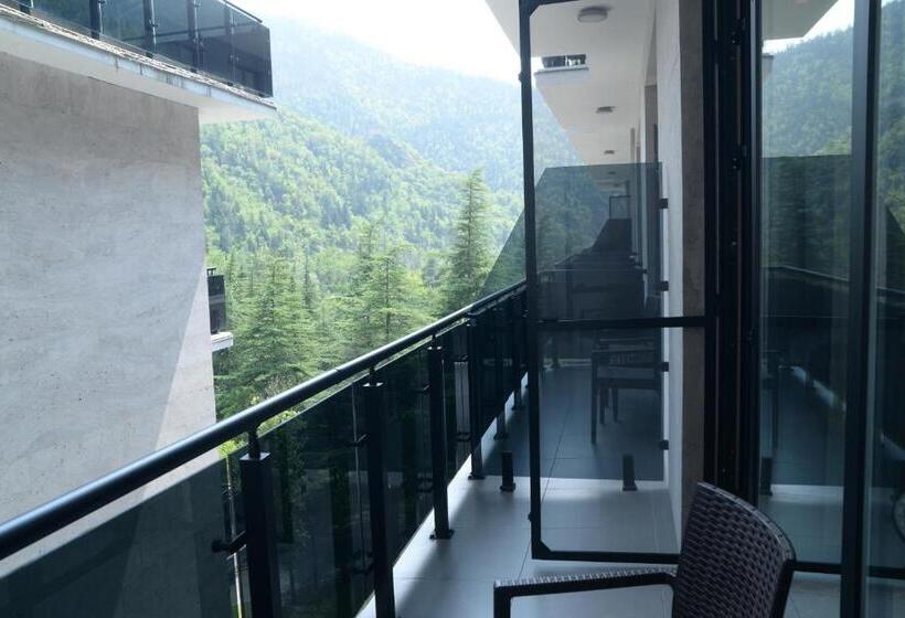 اتاق اکونومی, Borjomi Likani Health & Spa Centre