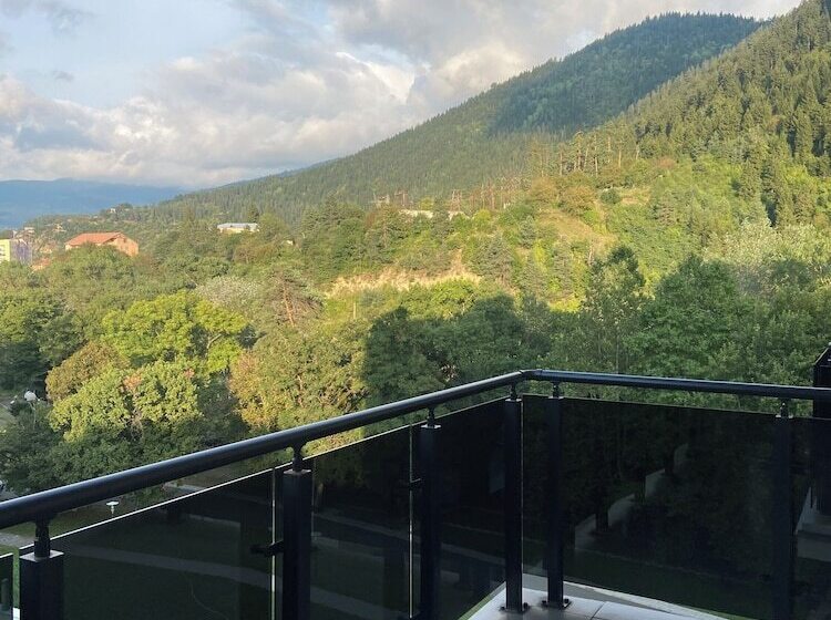 سوییت اجرایی, Borjomi Likani Health & Spa Centre
