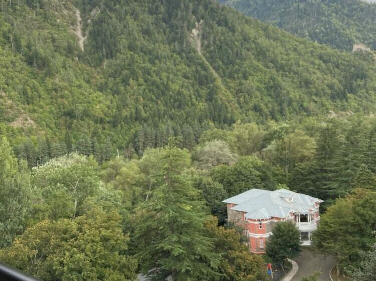 آپارتمان لوکس 1 خوابه, Borjomi Likani Health & Spa Centre