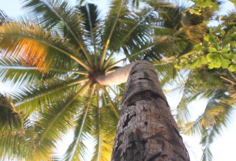 اتاق سوپریور با چشم‌انداز دریا و بالکن, Cocoloco Beach Resort