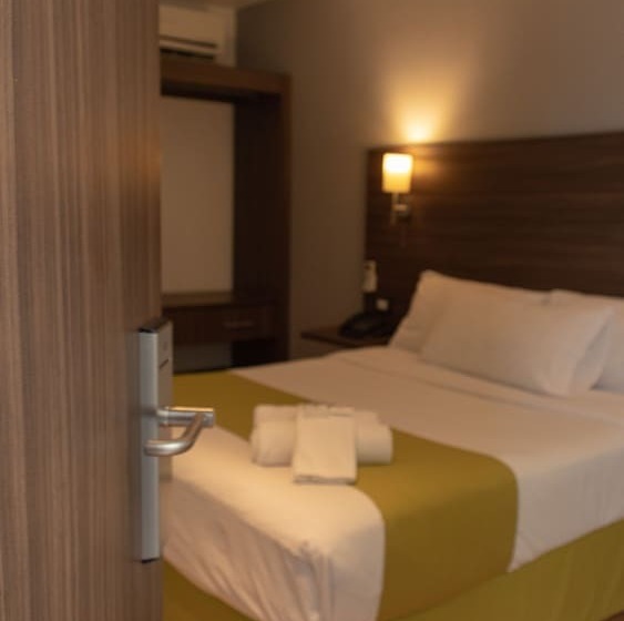 اتاق سوپریور, El Hotel Business Class   Zamora Centro