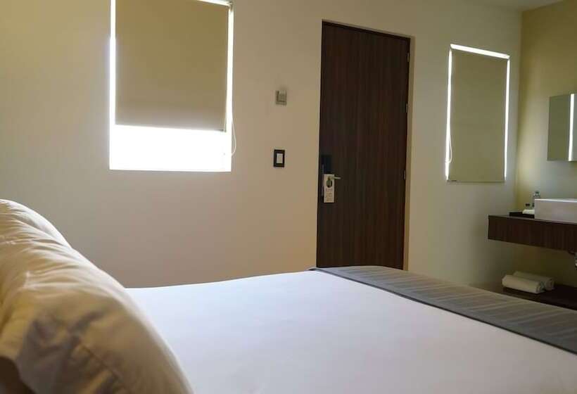 اتاق استاندارد, El Hotel Business Class   Zamora Centro