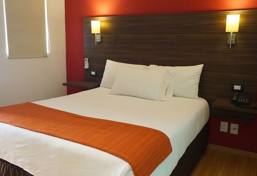 اتاق استاندارد, El Hotel Business Class   Zamora Centro
