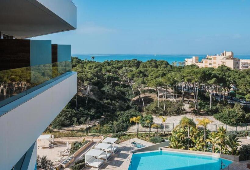 스탠다드 룸 풀장 전망, Iberostar Selection Llaut Palma - Adults Only