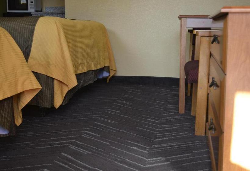 اتاق استاندارد با تخت بزرگ, Budget Inn Williamsville