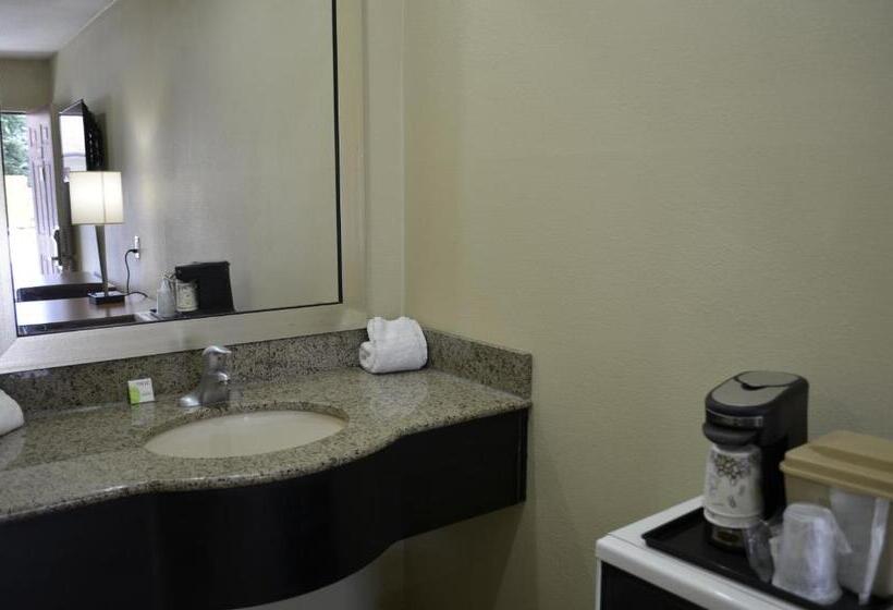 اتاق استاندارد با تخت بزرگ, Budget Inn Williamsville