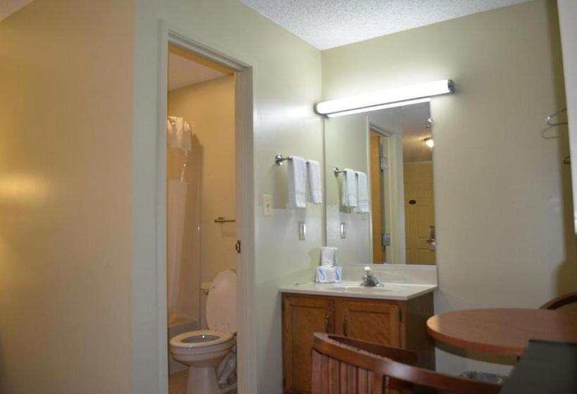 اتاق استاندارد با تخت بزرگ, Budget Inn Williamsville