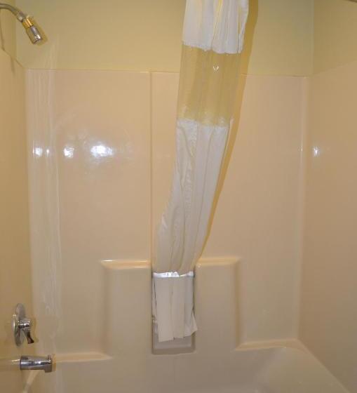 اتاق استاندارد با تخت بزرگ, Budget Inn Williamsville