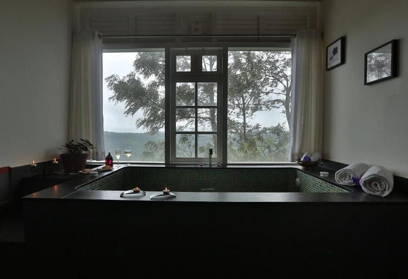 اتاق کلاسیک, Spicetree Munnar