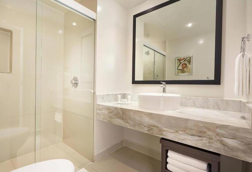 اتاق استاندارد با چشم‌انداز شهر, Fairfield Inn & Suites By Marriott Villahermosa Tabasco