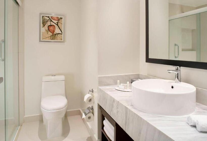 استودیوی استاندارد با چشم‌انداز شهر, Fairfield Inn & Suites By Marriott Villahermosa Tabasco
