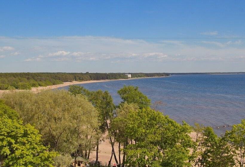 اتاق استاندارد, Repinskaya