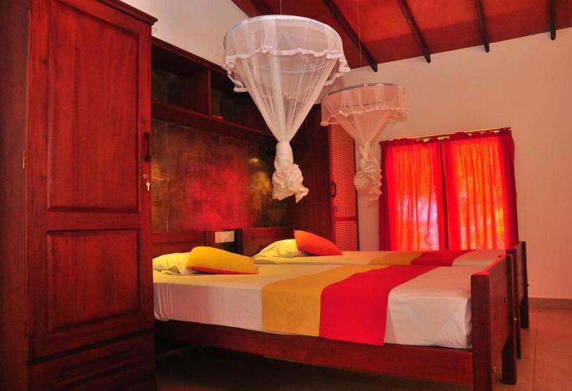 اتاق استاندارد, Ypsylon Tourist Resort