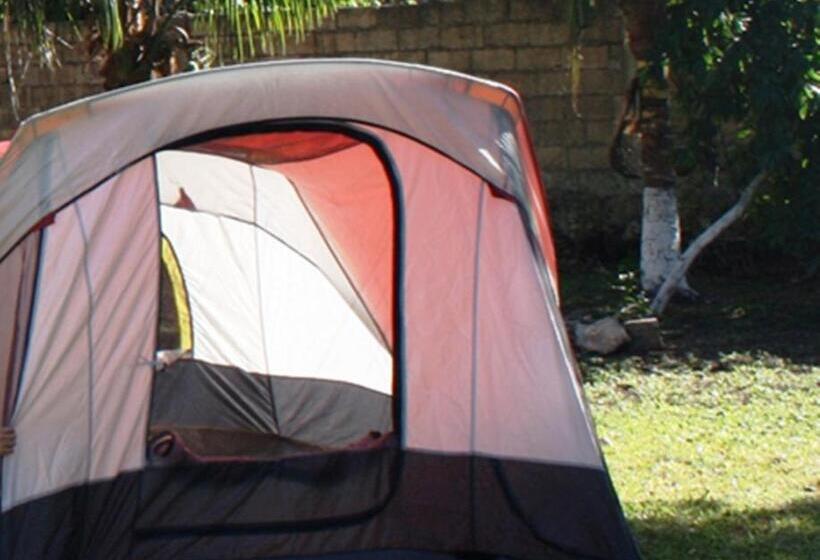 Standard Tent, Yaxche Centro Hostal Y Camping