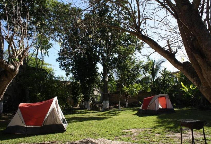 Standard Tent, Yaxche Centro Hostal Y Camping