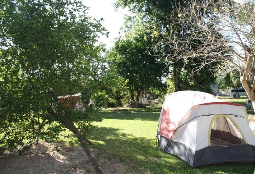 Standard Tent, Yaxche Centro Hostal Y Camping