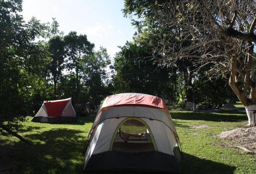 Standard Tent, Yaxche Centro Hostal Y Camping