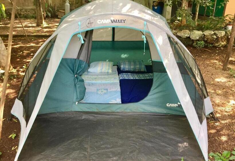 Standard Tent, Yaxche Centro Hostal Y Camping