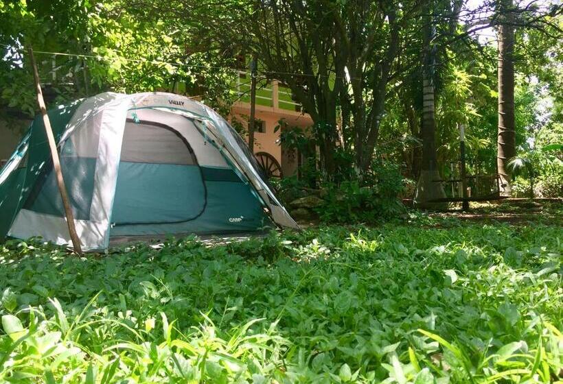 Standard Tent, Yaxche Centro Hostal Y Camping