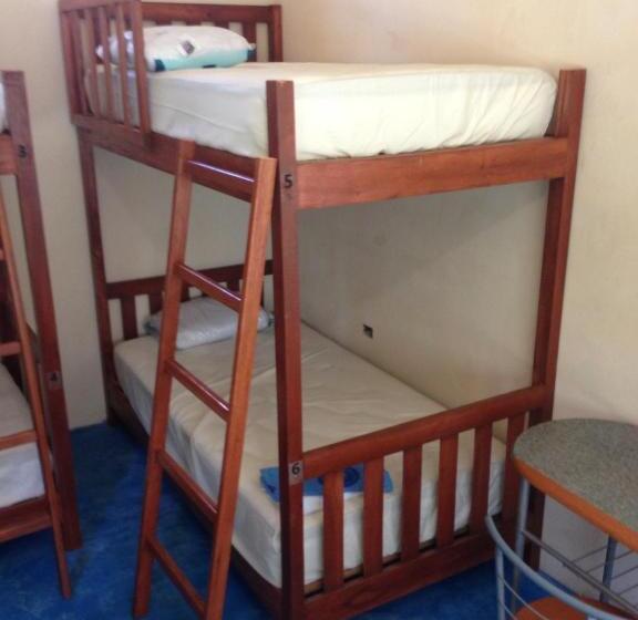 ルームシェアのワンベッド, Yaxche Centro Hostal Y Camping