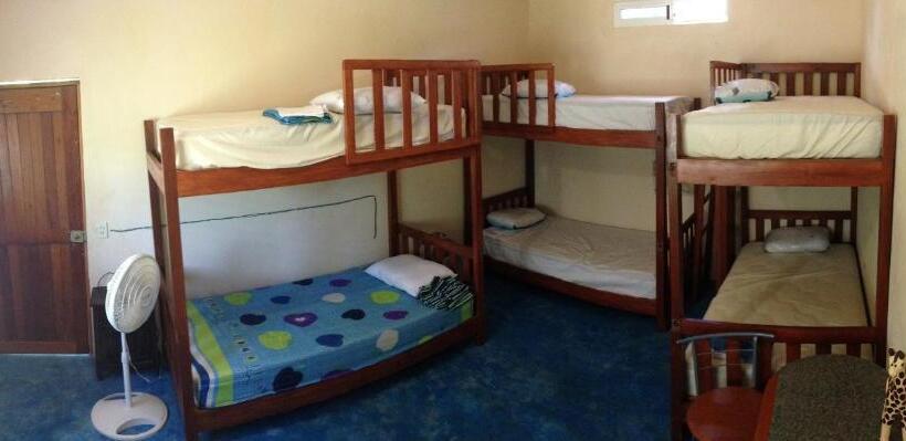 ルームシェアのワンベッド, Yaxche Centro Hostal Y Camping