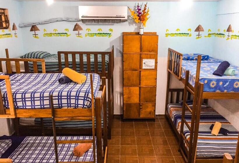 ルームシェアのワンベッド, Yaxche Centro Hostal Y Camping