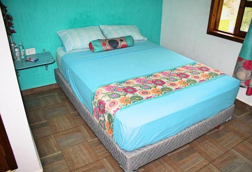 スタンダードルーム, Yaxche Centro Hostal Y Camping