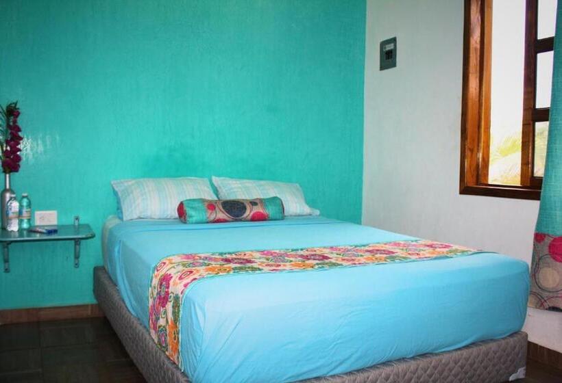 スタンダードルーム, Yaxche Centro Hostal Y Camping