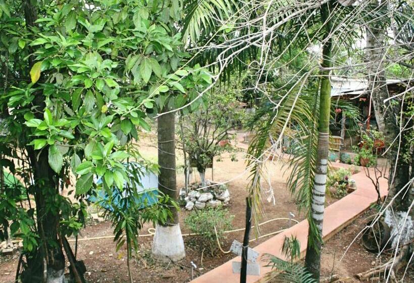 スタンダードルーム, Yaxche Centro Hostal Y Camping