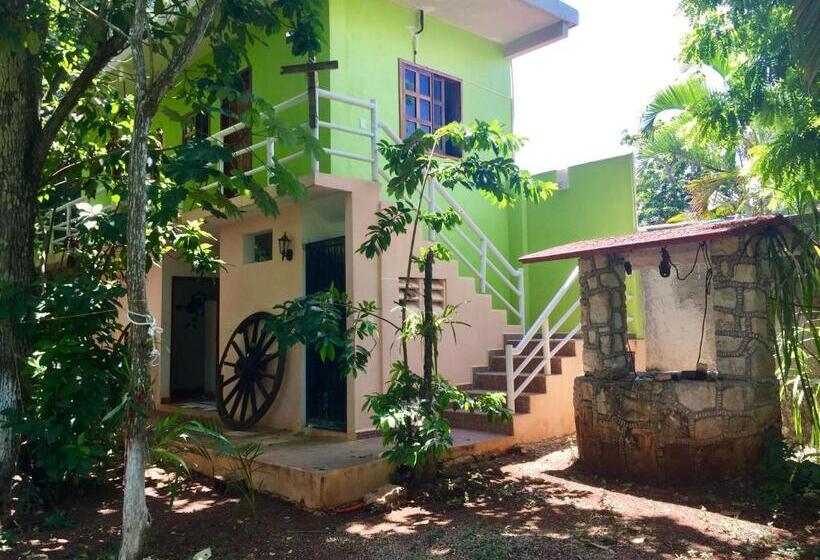 スタンダードルーム, Yaxche Centro Hostal Y Camping