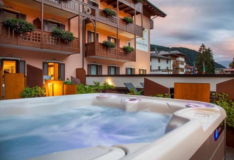 اتاق استاندارد با تخت بزرگ, Adler Hotel Wellness & Spa   Andalo