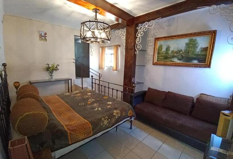 اتاق سوپریور با وان آب گرم, Posada Spa Antigua Casa Hogar