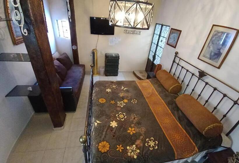 غرفة سوبيريور مزود بجاكوزى, Posada Spa Antigua Casa Hogar