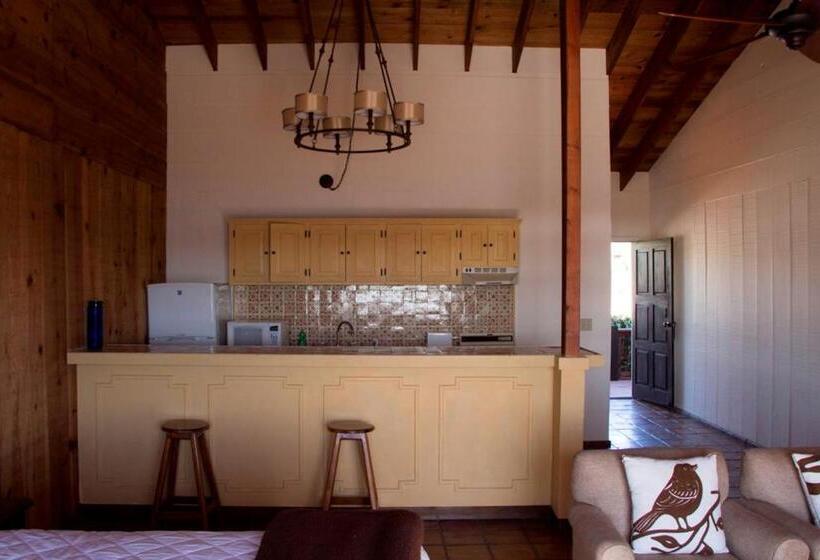 اتاق استاندارد با تخت بزرگ, Quintas Papagayo