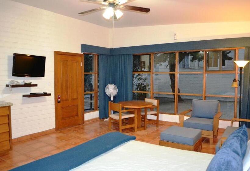 اتاق استاندارد با تخت بزرگ, Quintas Papagayo