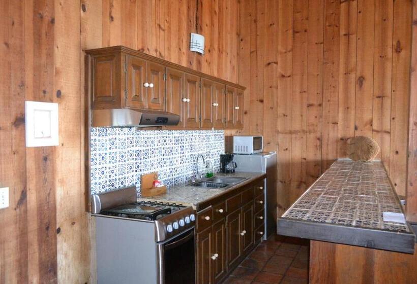 اتاق استاندارد با تخت بزرگ, Quintas Papagayo
